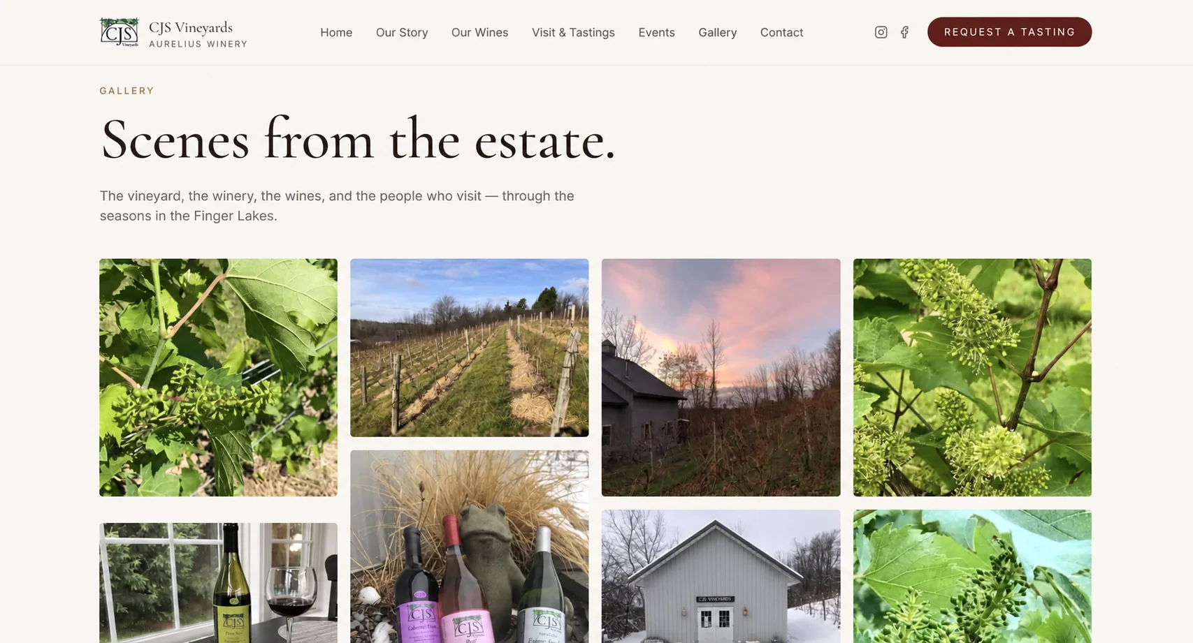 Redesigned CJS Vineyards estate gallery page with large vineyard photography