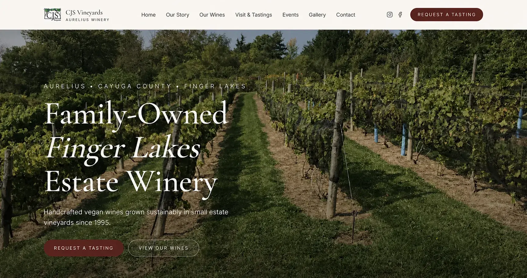 The redesigned CJS Vineyards home page, with full-width vineyard photography and a clear tasting action